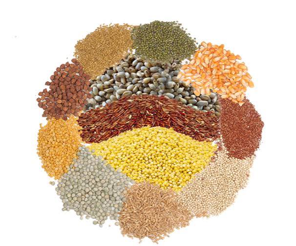 Category Image
